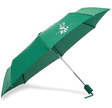 Stilinga dovana vyrui žalias skėtis